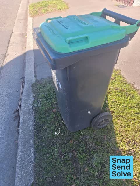Rubbish and Bins - General, a report photo