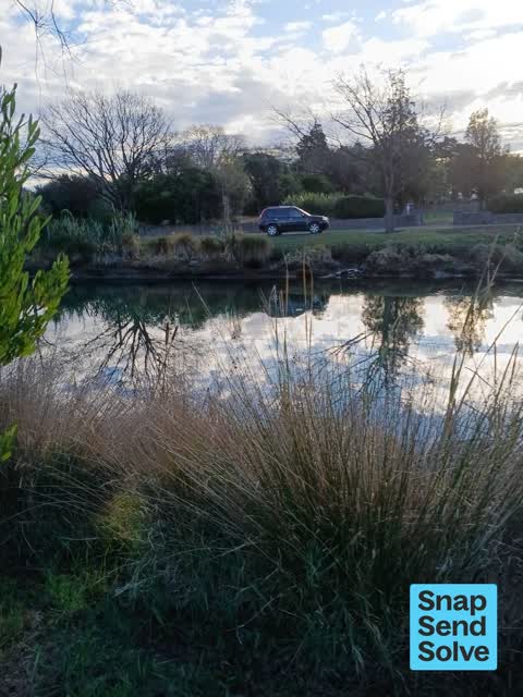 Dumped Rubbish, a report photo
