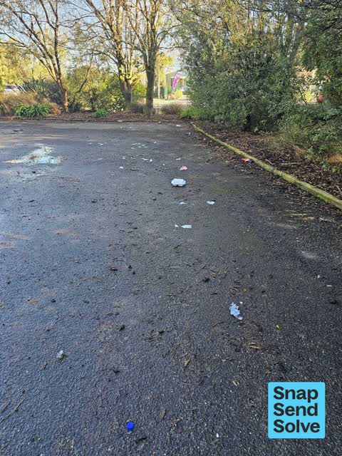 Litter — a report photo