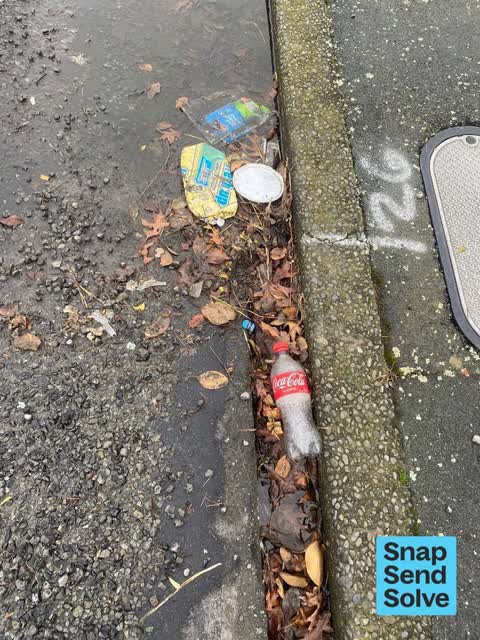 Street Gutters / Storm Water, a report photo