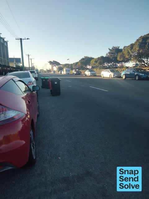 Rubbish and Bins - General — a report photo