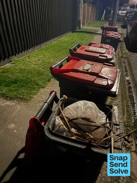 Rubbish and Bins - General — a report photo