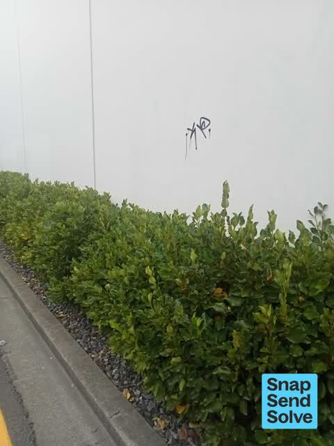 Graffiti on a fence, building or structure — a report photo