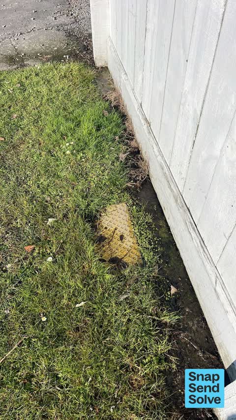 Water Leak, a report photo