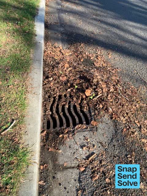 Street Cleaning — a report photo