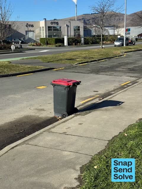 Rubbish and Bins - General, a report photo