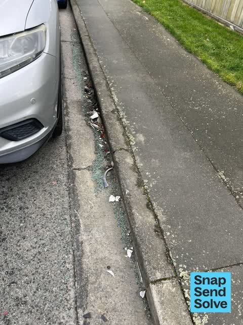 Litter, a report photo