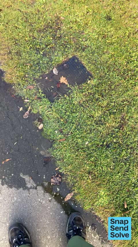 Water Leak, a report photo