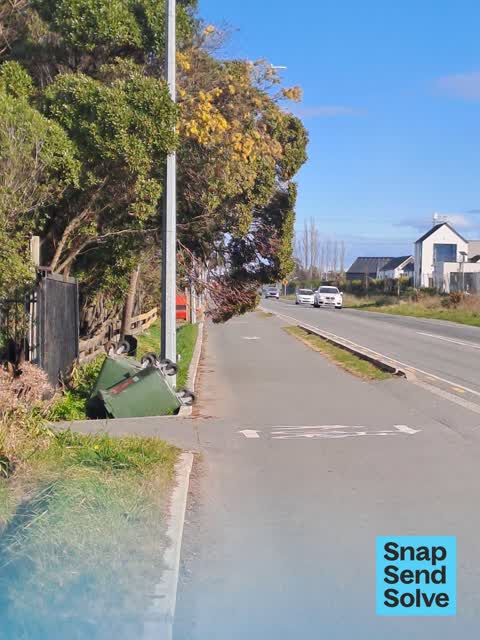 Overgrown Vegetation, a report photo