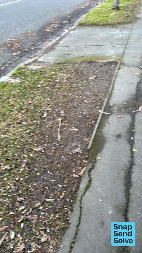 Overgrown Vegetation, a report photo