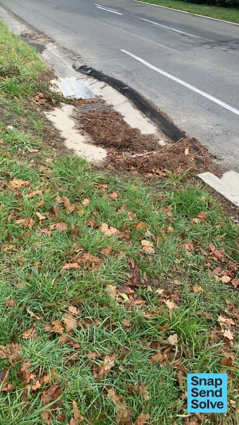 Street Gutters / Storm Water — a report photo