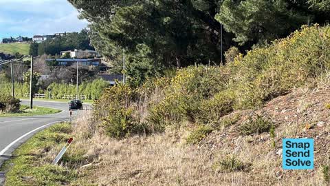 Overgrown Vegetation, a report photo
