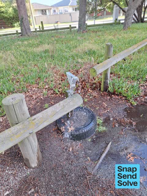 Water Leak, a report photo