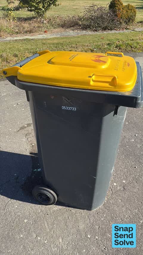 Rubbish and Bins - General, a report photo