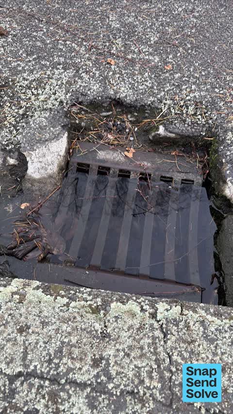 Water Leak, a report photo