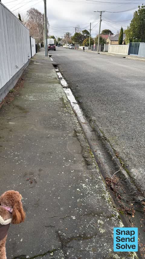 Street Gutters / Storm Water, a report photo