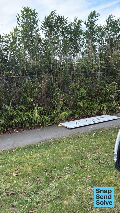 Dumped Rubbish, a report photo