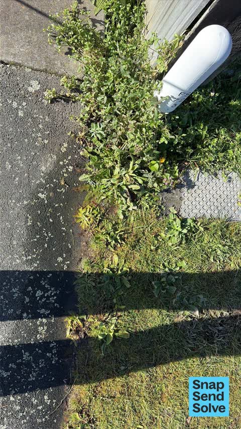 Water Leak, a report photo