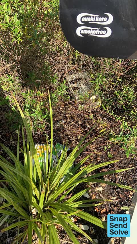 Dumped Rubbish, a report photo