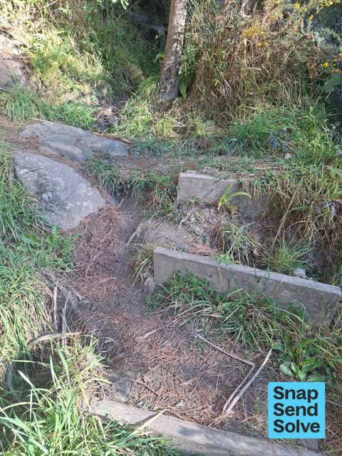 Park - General Request, a report photo