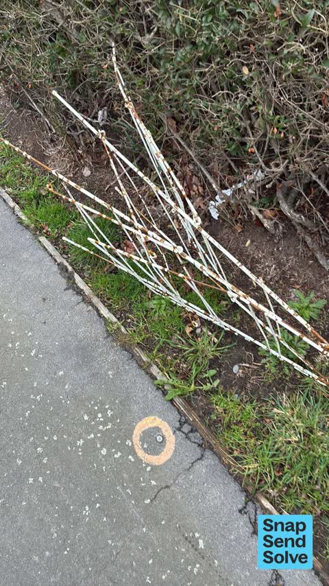 Dumped Rubbish, a report photo