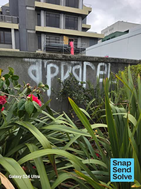 Graffiti on a fence, building or structure, a report photo