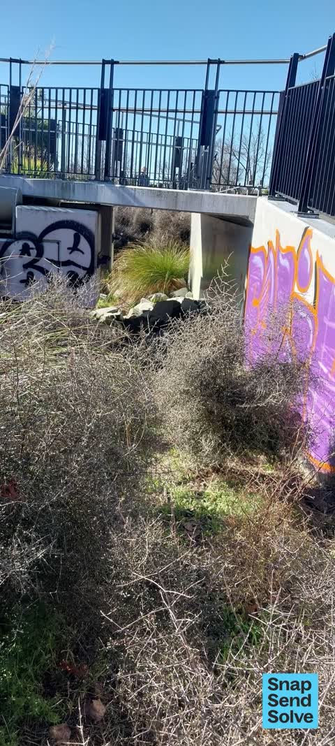 Graffiti on a road, footpath or bridge, a report photo