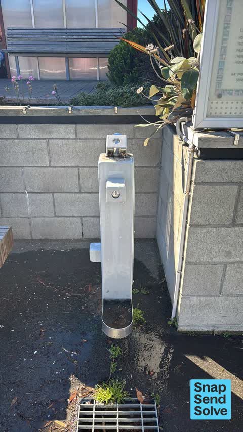 Water Leak, a report photo