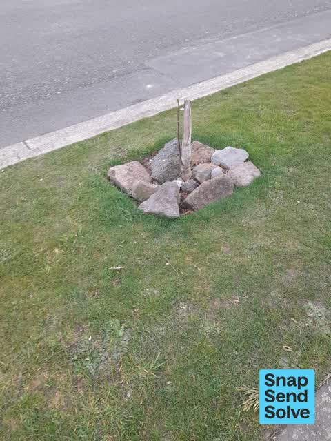 Pavement - Damaged, a report photo