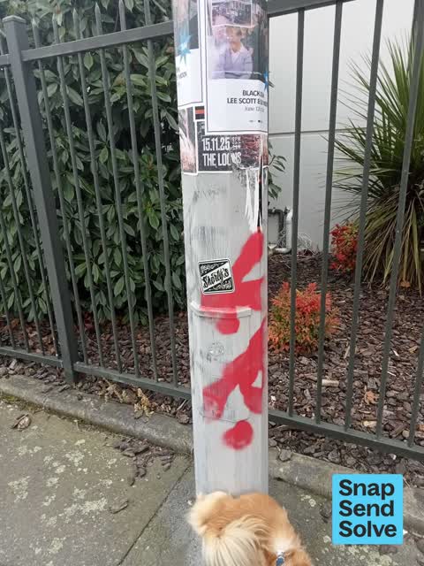 Graffiti on a fence, building or structure, a report photo