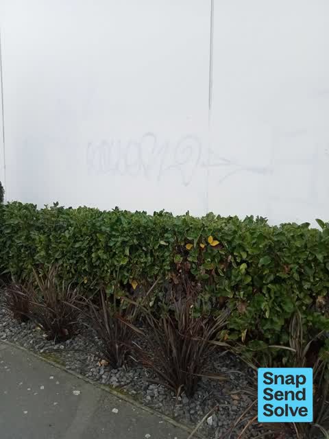 Graffiti on a fence, building or structure — a report photo