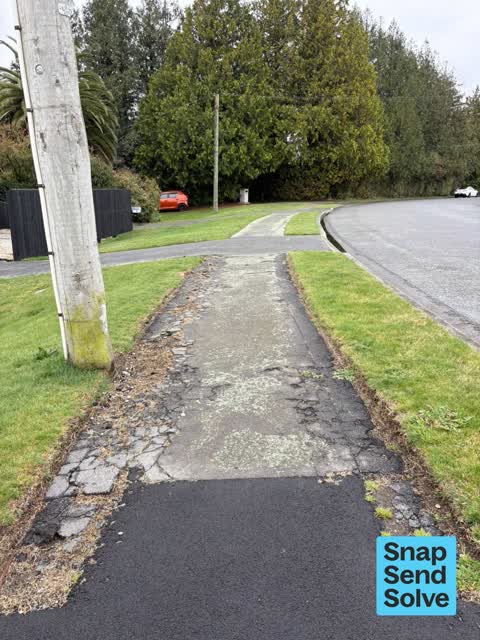 Pavement - Damaged, a report photo