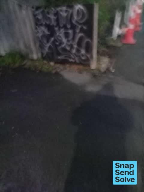 Graffiti on a fence, building or structure, a report photo