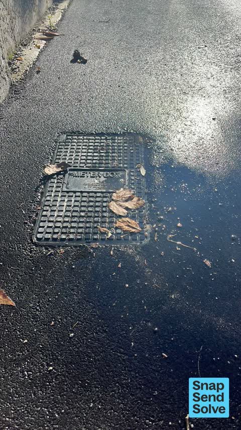 Water Leak, a report photo