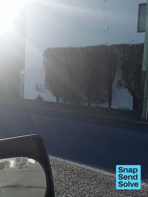 Graffiti on a fence, building or structure, a report photo