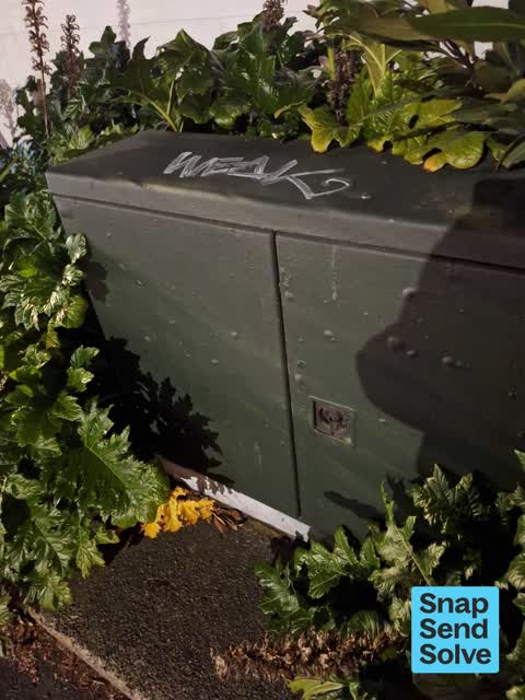 Graffiti on a traffic light pole or cabinet, or wa, a report photo