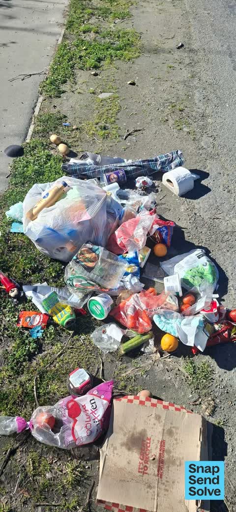 Dumped Rubbish, a report photo