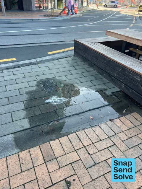 Water Leak, a report photo