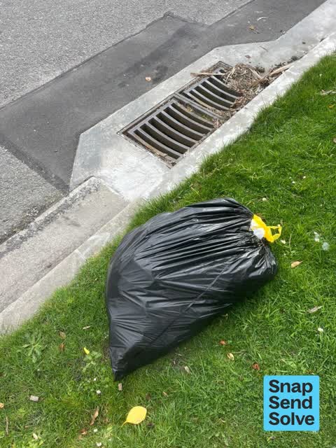 Dumped Rubbish, a report photo