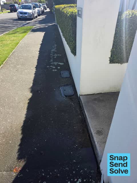 Water Leak, a report photo