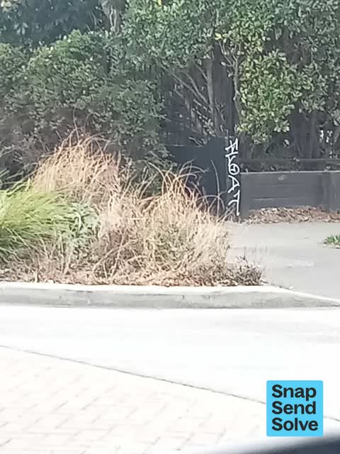 Graffiti on a fence, building or structure, a report photo
