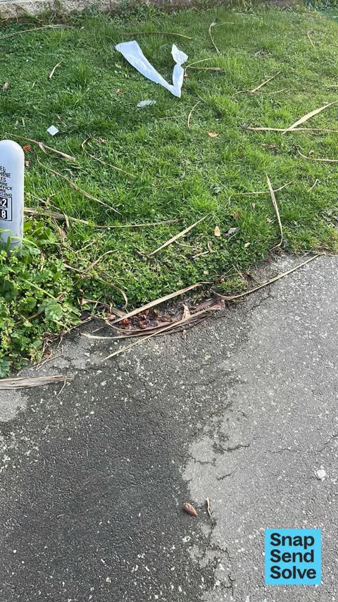 Water Leak, a report photo