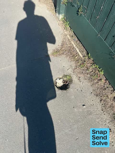 Pavement - Damaged — a report photo