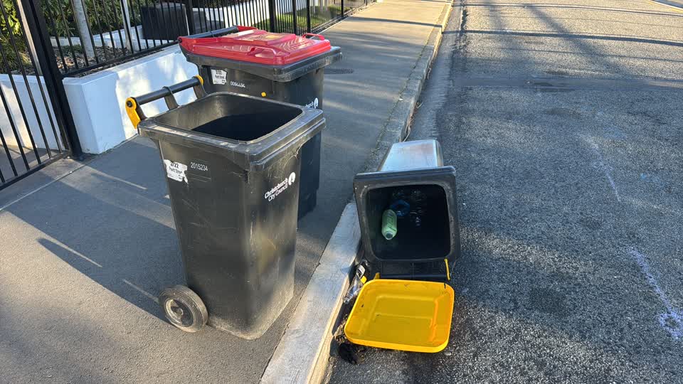 The photograph attached to this rubbish and bins - general report