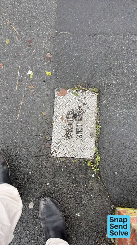 Water Leak, a report photo