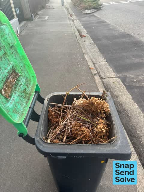 Rubbish and Bins - General, a report photo