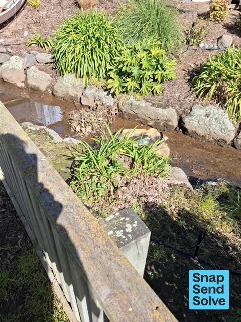 Water Pollution - Sediment, a report photo