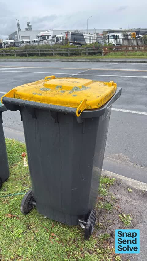 Rubbish and Bins - General, a report photo