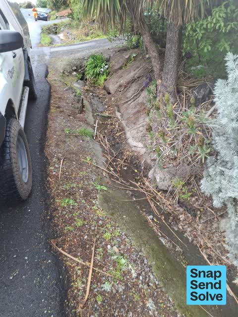 Street Gutters / Storm Water, a report photo