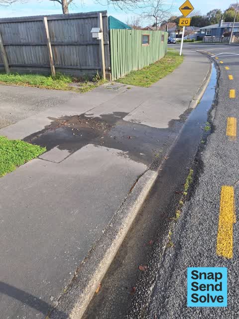 Water Leak, a report photo
